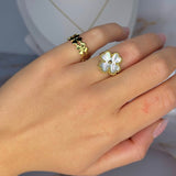 Anello Fortuna regolabile
